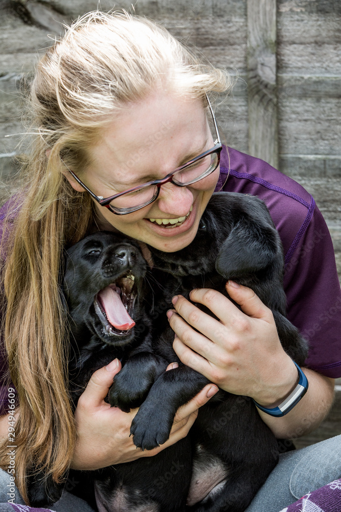 Blond woman wearing glasses hugging two Black Labrador puppies. Blond woman wearing glasses hugging two Black Labrador puppies.