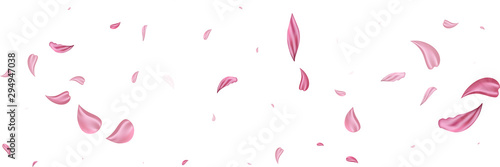 Fotografie, Obraz Pink falling petals wind
