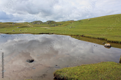 Scotland natural landscape in the tundra near Strathy Point photo