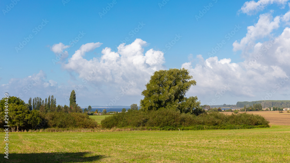 A beautiful landscape with the sea in the background on the German island Ruegen. In the foreground a field and a group of trees. The sky is blue with some clouds.