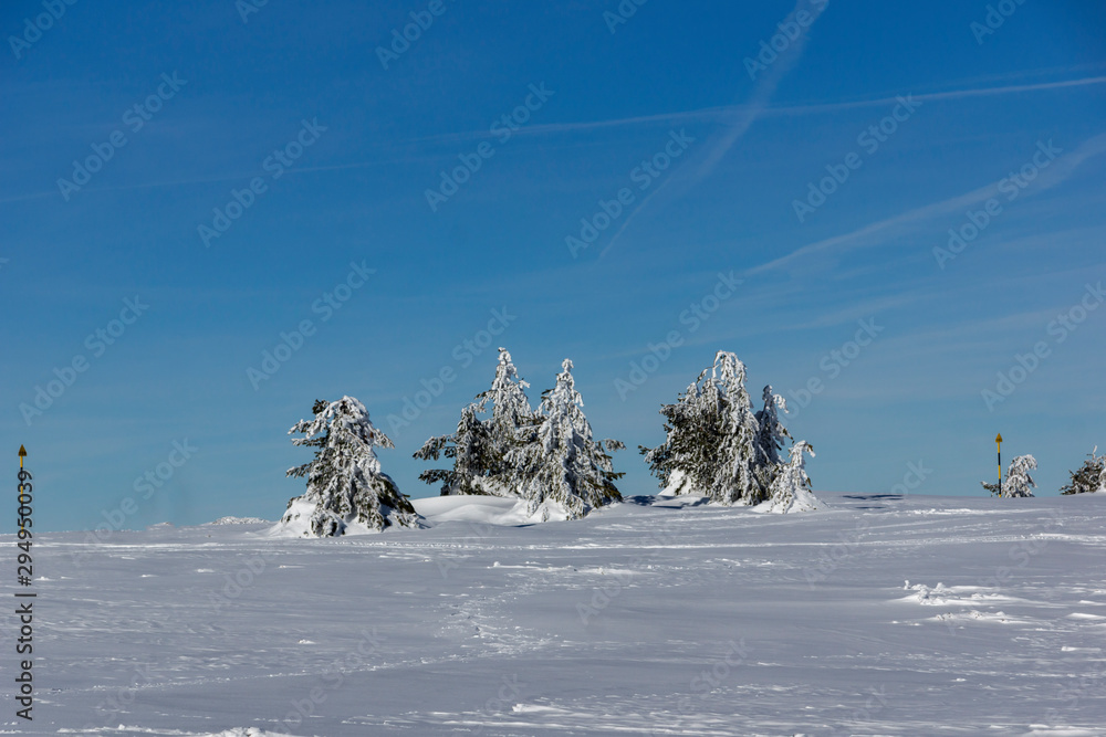 Winter Panorama of Vitosha Mountain, Bulgaria