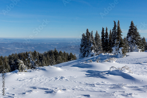 Winter Panorama of Vitosha Mountain, Bulgaria © Stoyan Haytov
