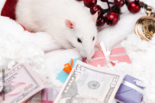 selective focus of small mouse near presents and dollar banknotes