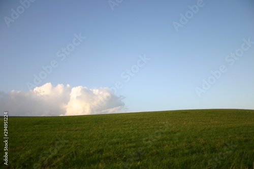 Schöner Himmel mit grüner Wiese