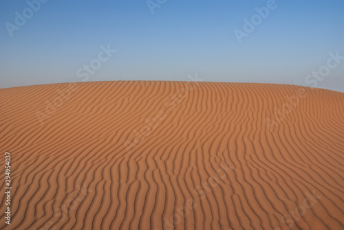 Dune ridge in the morning light in the desert of the Oman