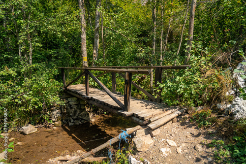 Small Bridge over the stream