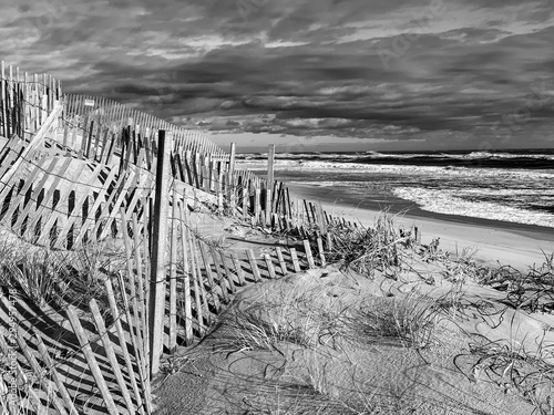 Sand Dunes Hamptons Beach Ocean