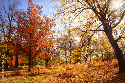 Landschaft 801