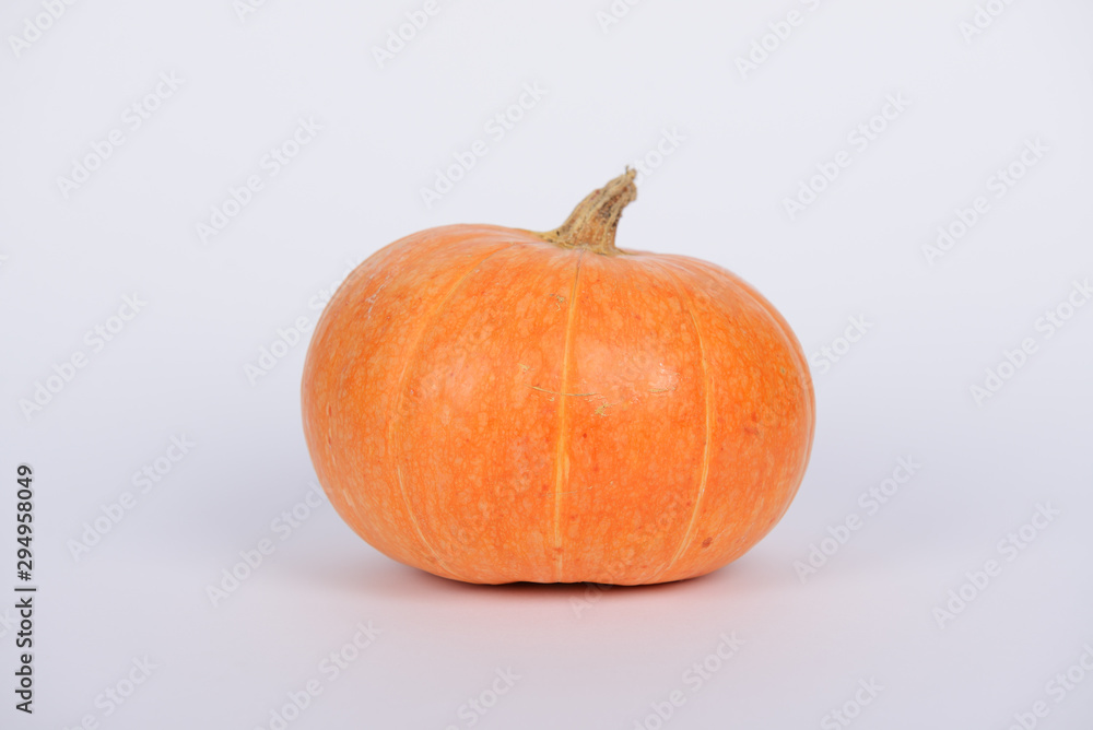 Obraz premium The orange pumpkin on white background