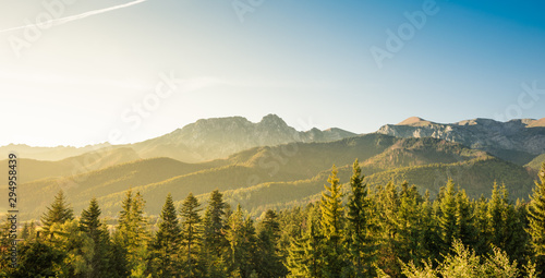 Golden sunrise, green trees and blue sky over silhouette of Tatra Mountains in Poland - view from Koscielisko near Zakopane