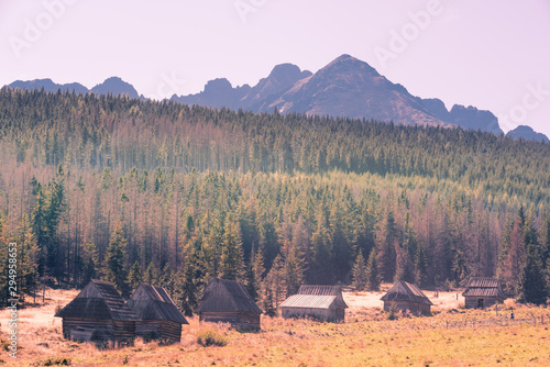 Traditional wooden huts in a valley surrounded by spruce forest and mountains - Poland photo