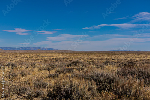 Red Desert Landscape