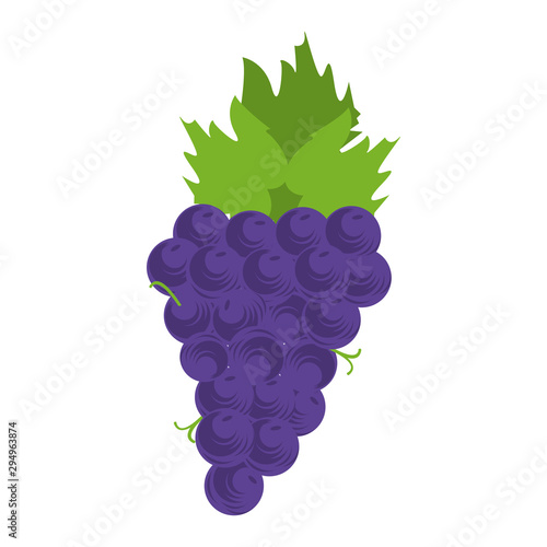 flat design of bunch of grapes icon