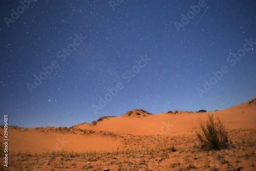 Night falls on the orange dunes of the desert under the moonlight and a deep, blue, starry sky.