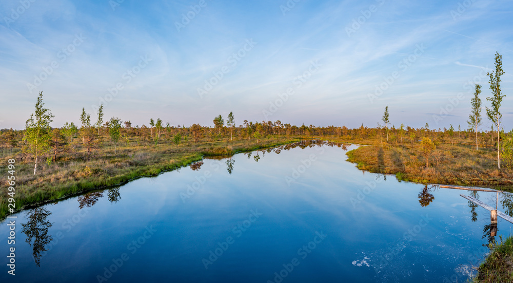  Water pond in the swamp Kemeri, Latvia.