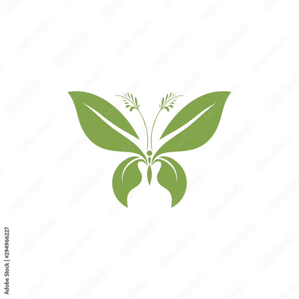 creative beauty butterfly logo  template