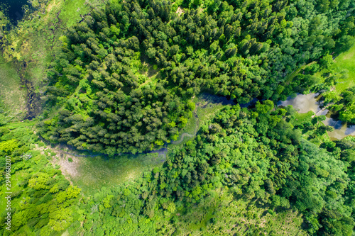 Summer landscape, green forest from above.