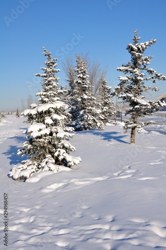 Winter scene in Calgary Alberta