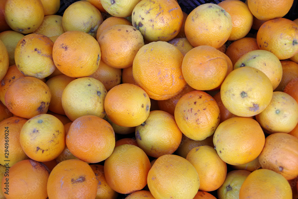 Close-up full frame view of freshly harvested organic oranges displayed at a market stand