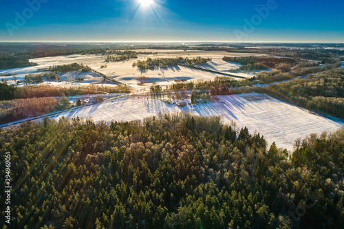 Winter landscape, snowy forest with a sunrise light.