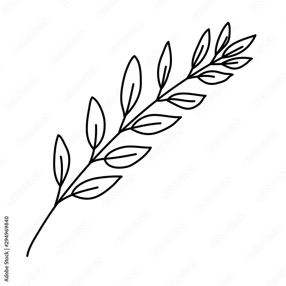 Fototapeta premium branch with leafs decorative icon