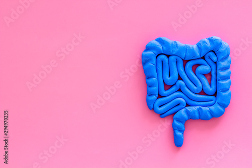 Intestines health. Guts on pink background top view copy space