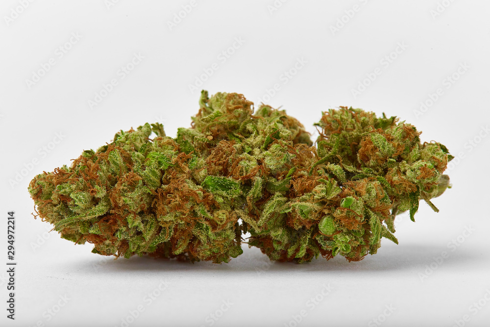 Close up macro of medical and recreational Strawnana strain marijuana bud natural light grown on white background Close up macro of medical and recreational Strawnana strain marijuana bud natural light grown on white background