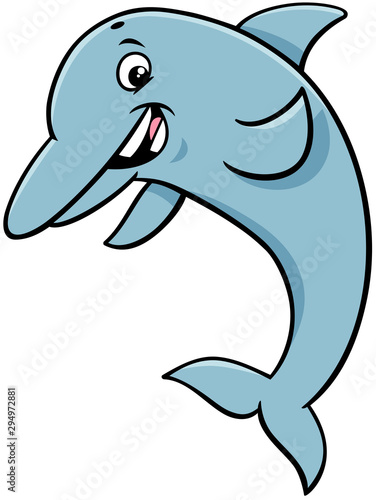 dolphin animal character cartoon illustration