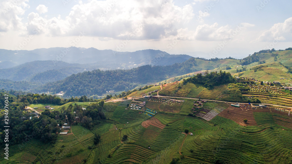 Obraz premium nature