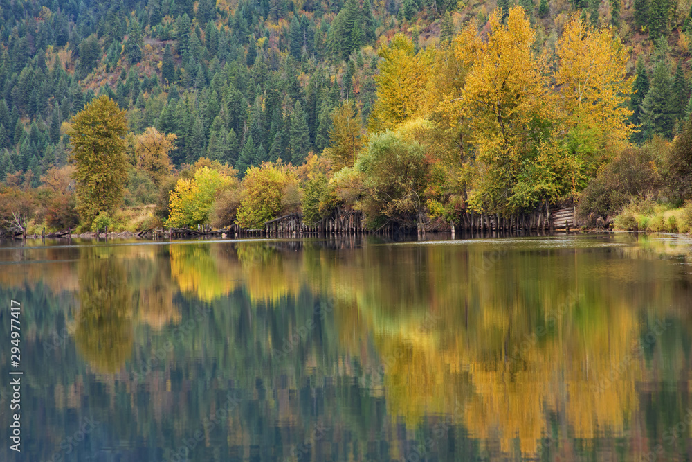 Original fall photograph of colored Aspen Trees reflecting in a calm lake