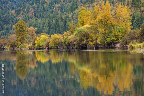 Original fall photograph of colored Aspen Trees reflecting in a calm lake