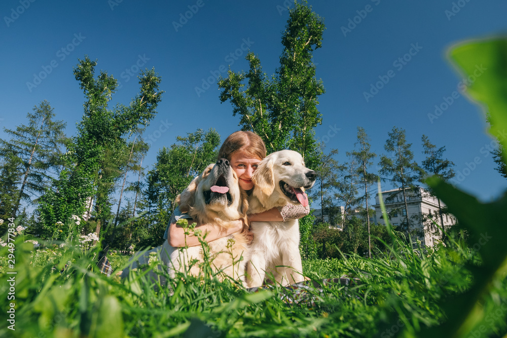 Girl with two golden retriever dogs in a park