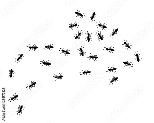 Ant vector illustration design © sangidan