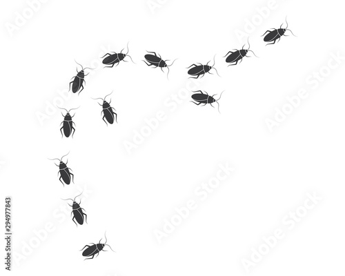 cockroaches vector icon illustration design
