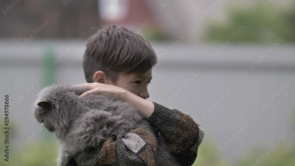 boy holds a british cat in his arms and strokes her outdoors boy holds a british cat in his arms and strokes her outdoors