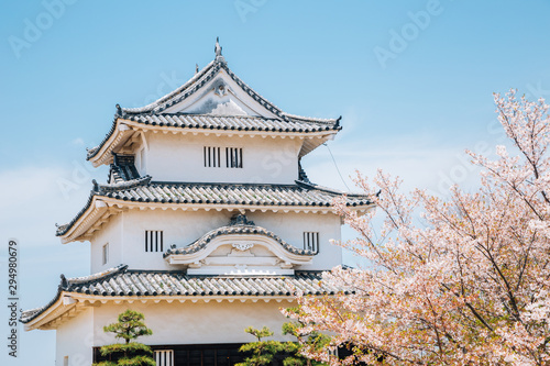 Marugame castle with cherry blossoms in Kagawa, Japan
