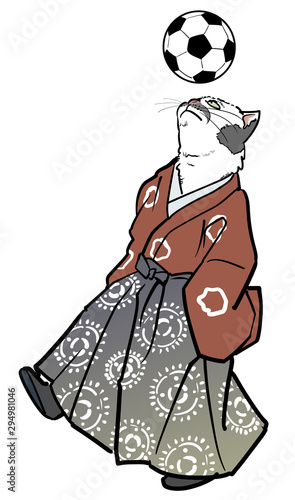 猫のヘディング