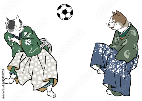 猫-サッカーのパス