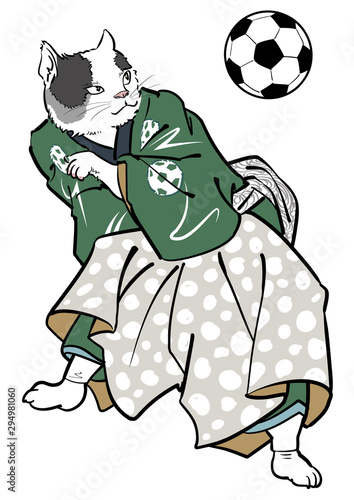 リフティングする猫