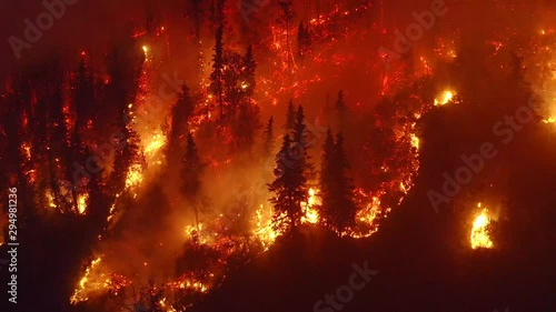 Aerial, tilt down, drone shot, overlooking trees in flames, Alaskan forest fires destroying and causing air pollution, on a dark, summer night, in Alaska, USA photo