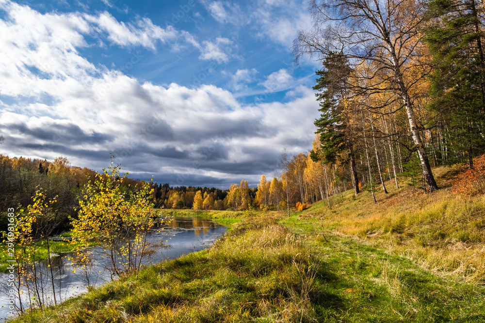 A small river and autumn forest with yellow birch leaves and beautiful clouds.