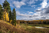 A small river and autumn forest with yellow birch leaves and beautiful clouds.
