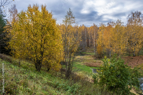A steep bank of a small river and a forest with yellow leaves.