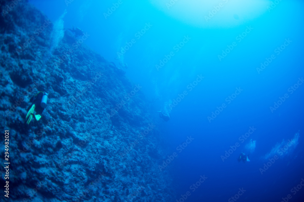 custom made wallpaper toronto digitalパラオ_ペリリュー_スキューバダイビング