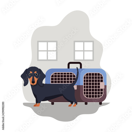 cute dog mascot with transport box in the house