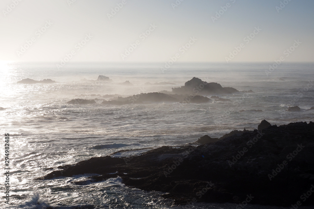 Point Lobos State Natural Reserve in Monterey County, California in late afternoon autumn light. Point Lobos State Natural Reserve in Monterey County, California in late afternoon autumn light.