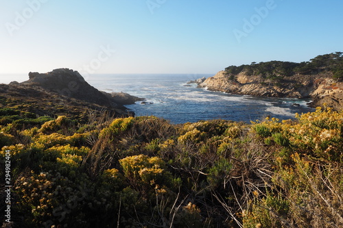 Point Lobos State Natural Reserve in Monterey County, California in late afternoon autumn light.