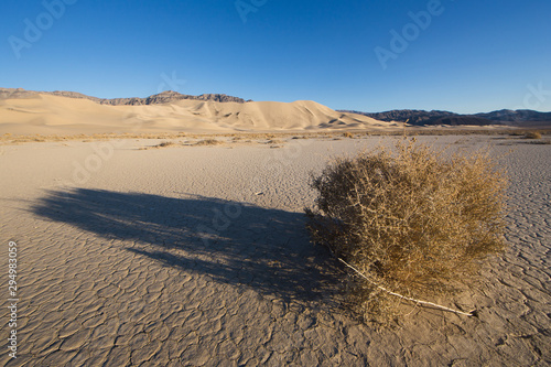 Photography A long shadow cast by tumbleweed with Eureka Dunes in the background