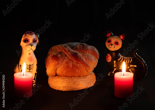 Fotografía halloween dead dog cat katrina pan muerto candles velas white red darkness