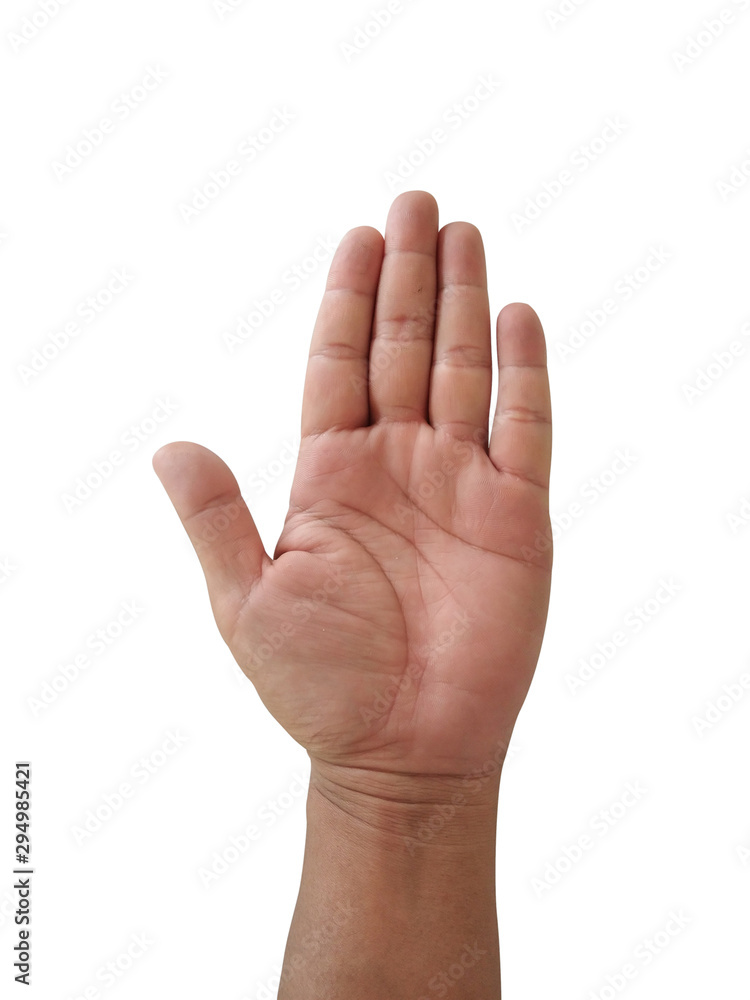Raising hands in different positions Raising hands in different positions